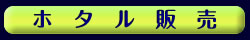 ホタル販売